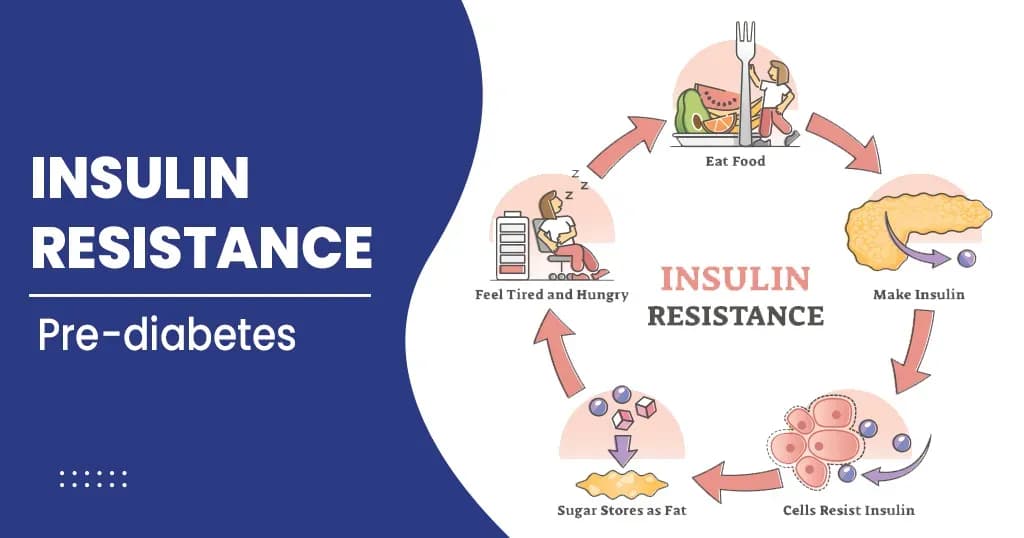 What is Insulin Resistance?